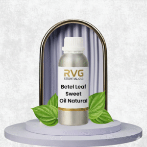 Betel Leaf Sweet Oil Natural